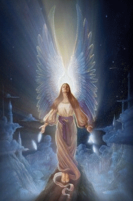 What is a Light Warrior ?